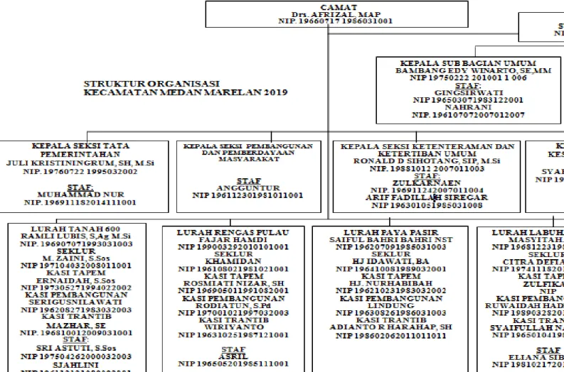 Gambar IV.2. Struktur Organisasi Kecamatan Medan Marelan