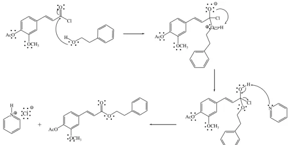 Gambar 6. Mekanisme reaksi pembentukan fenetil 4-O-asetilferulat  KESIMPULAN 