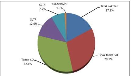 Gambar 1. Grafik proporsi subyek SDJ berdasarkan tingkat pendidikan di Kabupaten Banyuasin tahun 2015