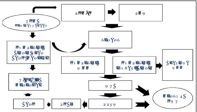 Gambar 2 :Model Sinergisitas Program Kewirausahaan di UNTAN 