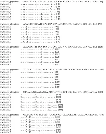 Figure 4. Alignment result of Anisakis sp. mtDNA COII gene sequence from the research compared to A