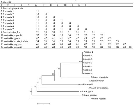Table 2. Matrix of the difference between COII gene nucleotide sequence of Anisakis in the research and the Anisakis from GenBank 