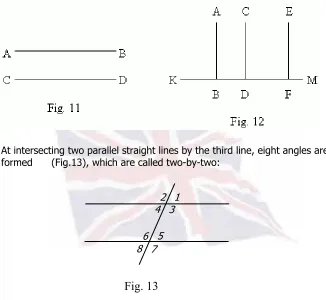 Fig. 13  