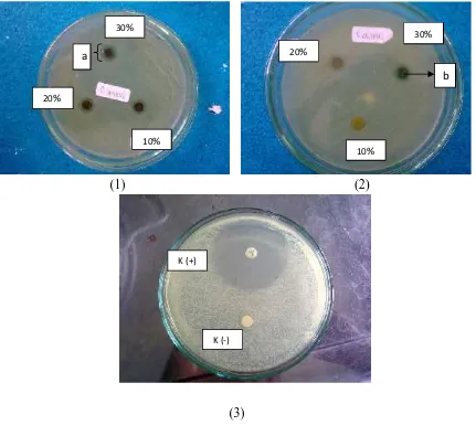 Gambar 1.  Zona hambat yang terbentuk pada uji antibakteri ekstrak metanol (1) daun Lawsoniainermis ; (2) batang Capsicum frutescens dan (3) kontrol positif  (+) serta negatif (-)Keterangan gambar : a