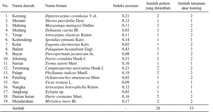 Tabel 2.  Indeks asosiasi akar kuning (A. flava) dengan jenis pohon dalam 10 jalur (20 ha).