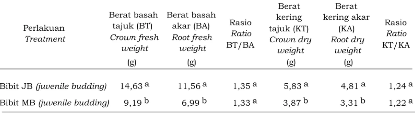 Tabel 2. Rerata sudut tunas antara bibit JB (Juvenile Budding) dan MB (Mature Budding)