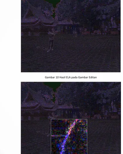 Gambar 10 Hasil ELA pada Gambar Editan 