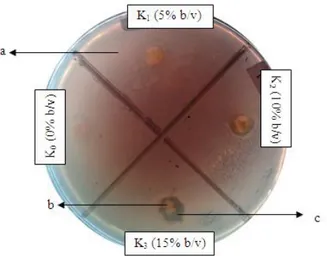 Gambar  1.  Hasil  Aktivitas  Antifungi  Ekstrak  Daun  Kemangi  terhadap  Fusarium  oxysporum  Schlecht