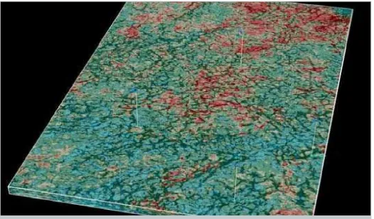 Figure 11A. A fragment of an HTI anisotropy direction and intensity map for the color-coded and vector options