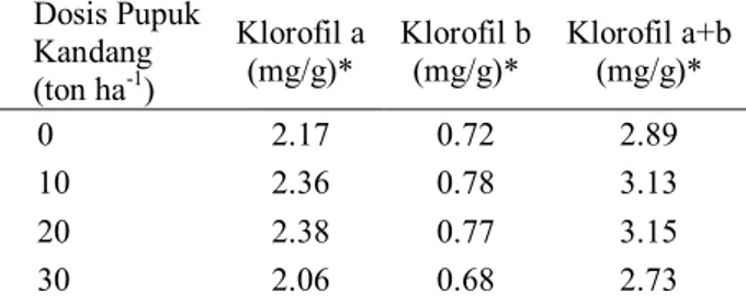 Tabel  10.  Hasil  analisis  uji  klorofil  daun  jagung  manis  Dosis Pupuk  Kandang   (ton ha -1 )  Klorofil a (mg/g)*  Klorofil b (mg/g)*  Klorofil a+b (mg/g)*  0  2.17  0.72  2.89  10  2.36  0.78  3.13  20  2.38  0.77  3.15  30  2.06  0.68  2.73 