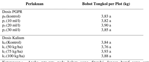 Tabel 4.  Pengaruh  Konsentrasi  PGPR  dan  dosis  pupuk  Kalium  terhadap  Bobot  Tongkol per Plot
