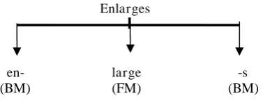 Figure 1: A diagram of morpheme ‘enlarges’ 