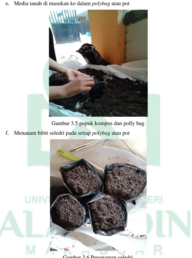 Gambar 3.5 pupuk kompos dan polly bag  f.  Menanam bibit seledri pada setiap polybag atau pot 