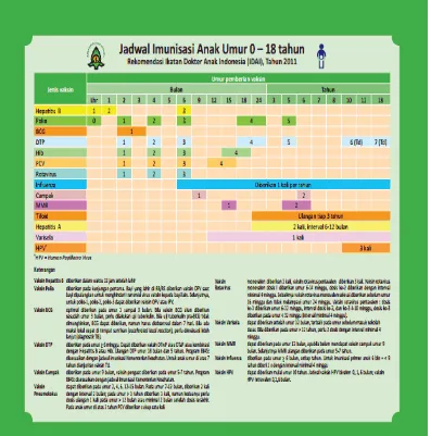 Gambar 2.1  Jadwal Imunisasi 2011-2012 Rekomendasi Ikatan Dokter Anak Indonesia (Satgas Imunisasi IDAI)  