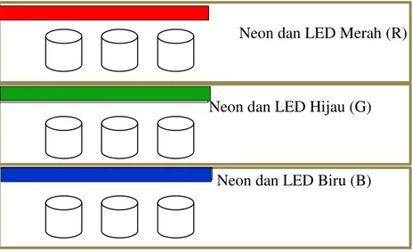 Gambar 1. Kondisi Kultur C.vulgaris : perlakuan neon yang ditambahkan LED merah (R) ;   perlakuan LED hijau (G) ; perlakuan LED biru (B) 