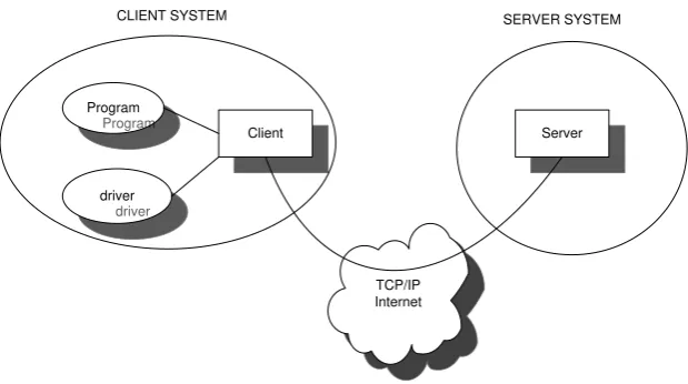 Gambar 2.5 Model Client Server Internet 