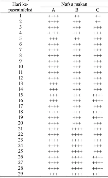 Tabel 4. Respons nafsu makan  Hari ke-  pascainfeksi  Nafsu makan  A  B  C  1  ++++  ++  ++  2  ++++  +++  ++  3  ++++  +++  +++  4  ++++  +++  +++  5  +++  ++  +++  6  ++++  +++  +++  7  ++++  +++  +++  8  ++++  +++  +++  9  ++++  +++  +++  10  ++++  +++ 