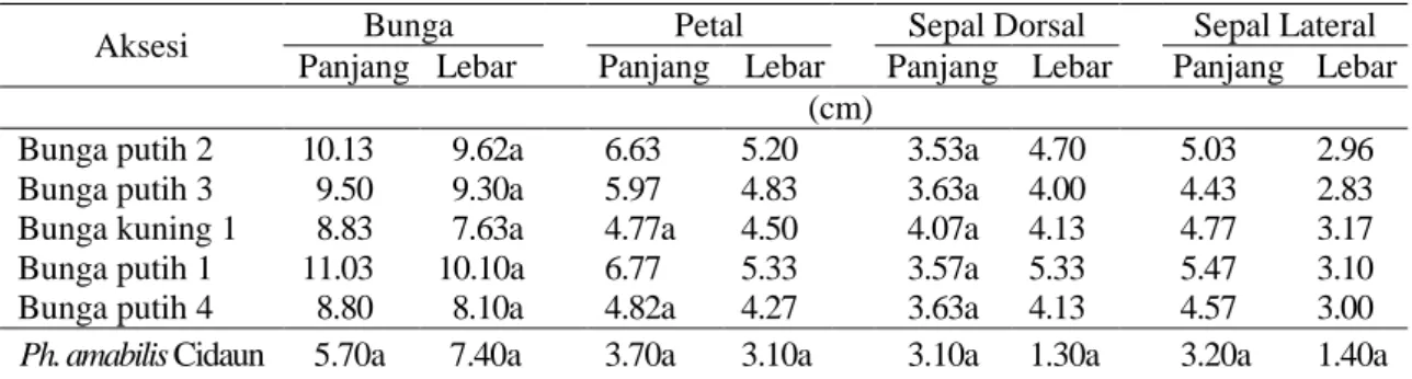 Tabel 2.  Rata-rata panjang dan lebar bunga, sepal dan petal beberapa aksesi anggrek Phalaenopsis  hibrida dan P