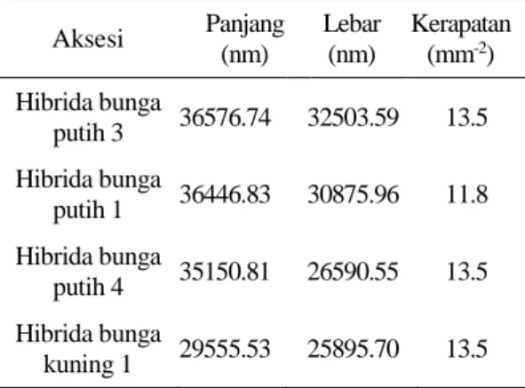 Tabel  3.  Rata-rata  panjang,  lebar  dan  kerapatan  stomata anggrek Phalaenopsis hibrida 
