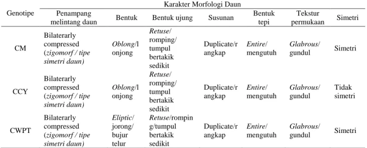 Tabel 1 Hasil karakterisasi morfologi daun anggrek Cattleya  Genotipe 