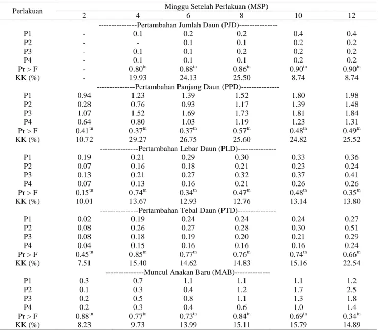 Tabel  3  menunjukan  hasil  perlakuan  pupuk  berpengaruh  nyata  pada  genotipe  CM  terhadap  pertambahan  jumlah  daun  pada  minggu  ke  8  dan  akhir  perlakuan  yaitu  minggu  ke  12