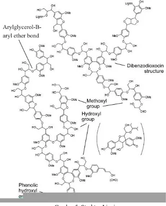 Gambar 5. Struktur Lignin