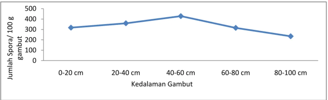 Gambar 3. Grafik kepadatan spora FMA/100 g gambut pada tegakan E.pellita dari  setiap  tingkat kedalaman gambut (Graph AMF spores/100 g peat on plant  E