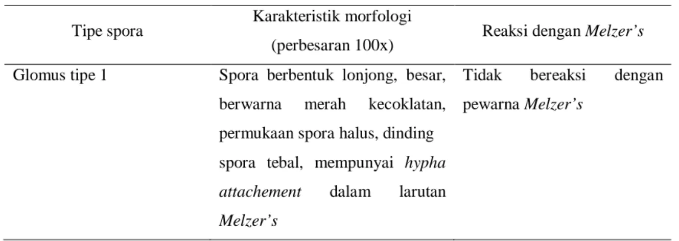 Tabel 2. Jenis spora pada masing-masing lokasi perkebunan  Tipe spora  Karakteristik morfologi 