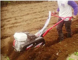 Gambar 3. Pengolahan tanah dengan traktor 