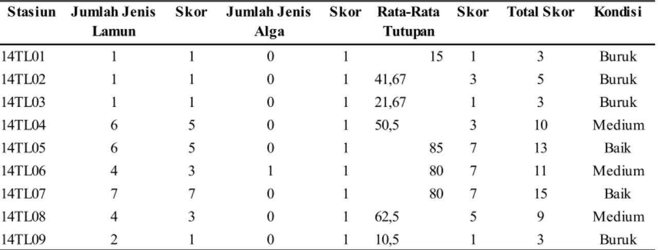 Tabel 6 terlihat pada stasiun  yang  menghadap  Laut Maluku (14TL04, 14TL05, 14TL06, 14 TL07  dan  14TL08)    ada  kecenderungan  membentuk  padang  lamun  campuran,  dengan  INP  tertinggi  umumnya  pada  lamun  jenis  T