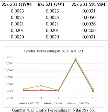 Tabel 4.13 Perbandingan Nilai Rrs 488 pada Masing-masing Koreksi  Atmosfer  Rrs 531 GW94  Rrs 531 GWI  Rrs 531 MUMM  0,0023  0,0023  0,0031  0,0025  0,0025  0,0050  0,0021  0,0021  0,0026  0,0201  0,0201  0,0206  0,0020  0,0020  0,0031 