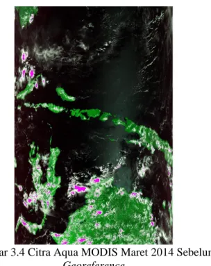 Gambar 3.4 Citra Aqua MODIS Maret 2014 Sebelum 