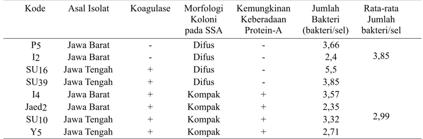 Tabel 2. Hasil uji fagositosis leukosit polimorfonuklear kelinci terhadap bakteri S. aureus 