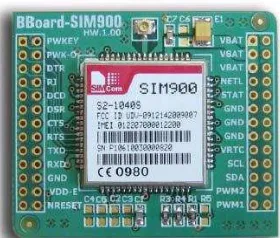 Gambar 2.12 Spesifikasi pin SIM900  