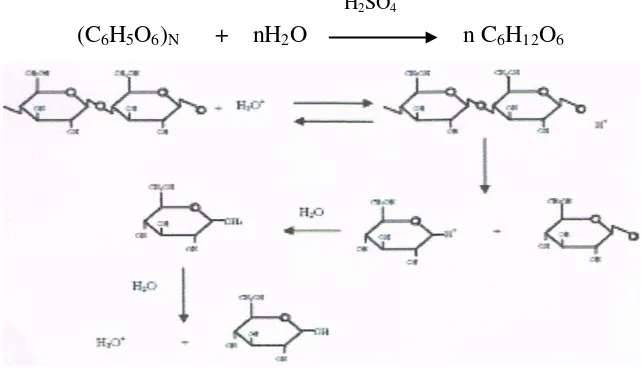 Gambar 4. Mekanisme Reaksi Hidrolisis Selulosa Oleh Asam 