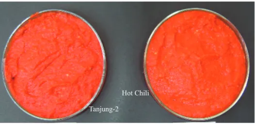 Gambar 6.   Warna pasta Tanjung-2 dan Hot Chili (Paste color of Tanjung-2 and  Hot Chili)