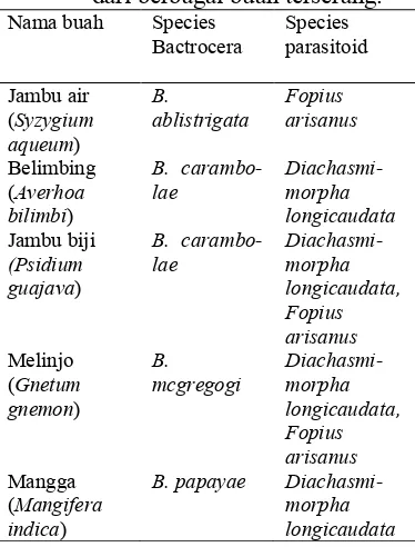 Tabel 1.Species Bactrocera dan 