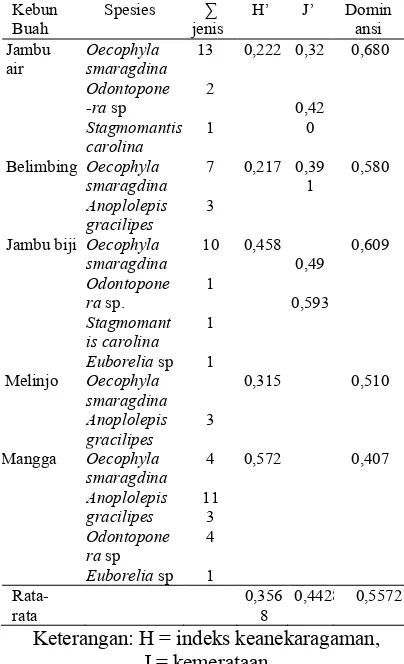 Tabel 3. Predator yang memangsalarva  dan pupa Bactrocera spp/  