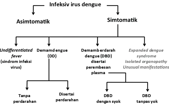 Gambar 3.  Klasiikasi diagnosis dengue menurut WHO 2011Dikuip dan dimodiikasi dari WHO
