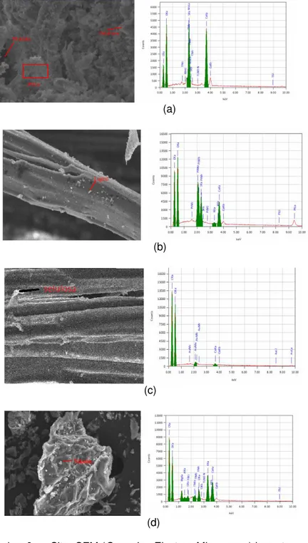 Gambar 6      Citra SEM (Scanning Electron Microccopy) beserta  Grafik EDS perbesaran 500 X (a) biokomposit variasi  anyaman (2A) (b) biokomposit variasi searah (4L)  (c)  kenaf bast fiber  (d) tembakau
