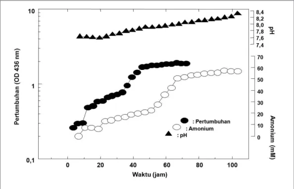 Gambar 2 : Pertumbuhan, perubahan pH, dan amonium selama proses fermentasi Flavobacterium  sp