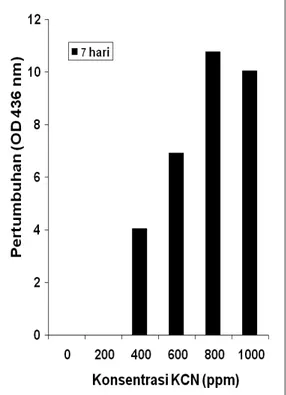 Gambar 1.  Pertumbuhan Konsorsia Bakteri LP3  Pada Berbagai Konsentrasi KCN