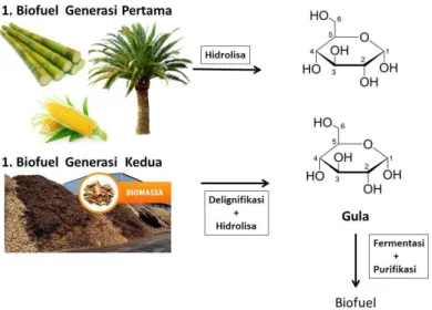 Gambar 1 . Sintesa Biofuel Generasi Pertama dan Kedua 