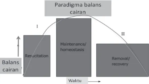 Gambar 1. Paradigma balans cairan2