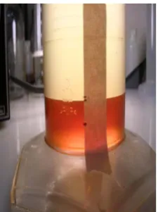 Gambar 4.  Pemisahan Biodiesel/Gliserin yang terjadi secara maksimal [4]. 