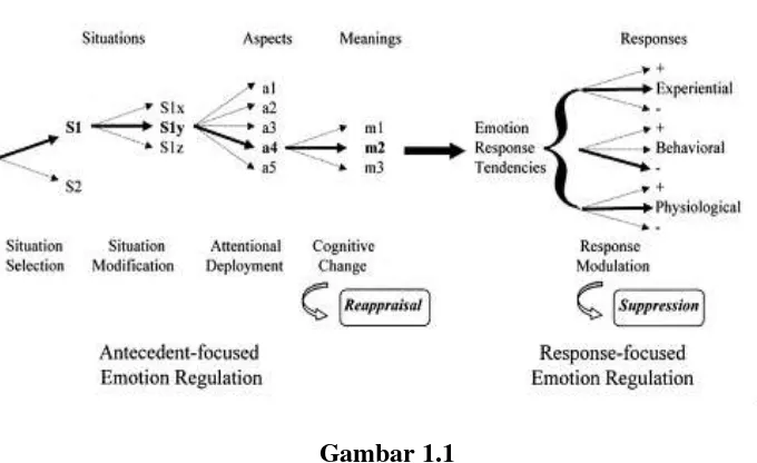 Model Proses Gambar 1.1 Emotion Regulation 