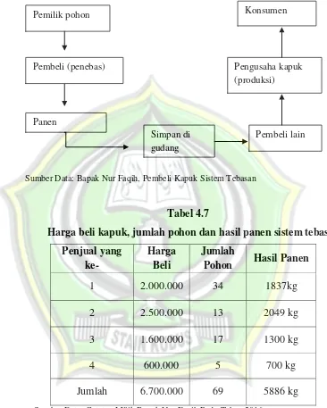 Tabel 4.7 Harga beli kapuk, jumlah pohon dan hasil panen sistem tebas 