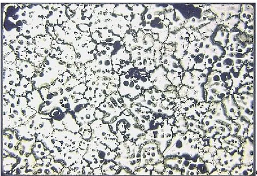 Gambar 8. Struktur mikro dari Al-Cu.            Sumber : http://www.scribd.com/doc/25300537/Makalah-Aluminium 
