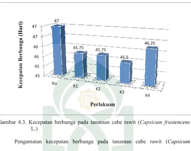 Gambar  4.3.  Kecepatan  berbunga  pada  tanaman  cabe  rawit  (Capsicum  frustencens  L.)  