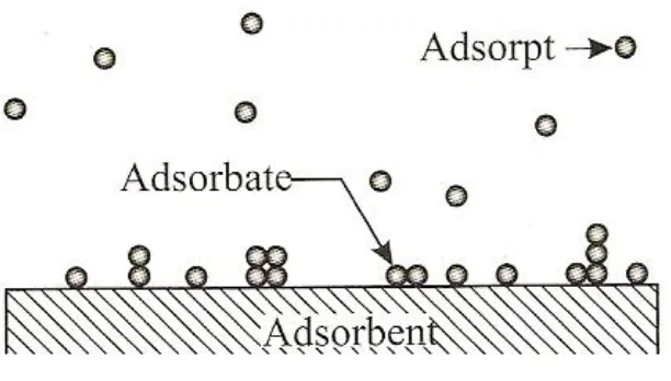 Gambar 7. Mekanisme adsorpsi 